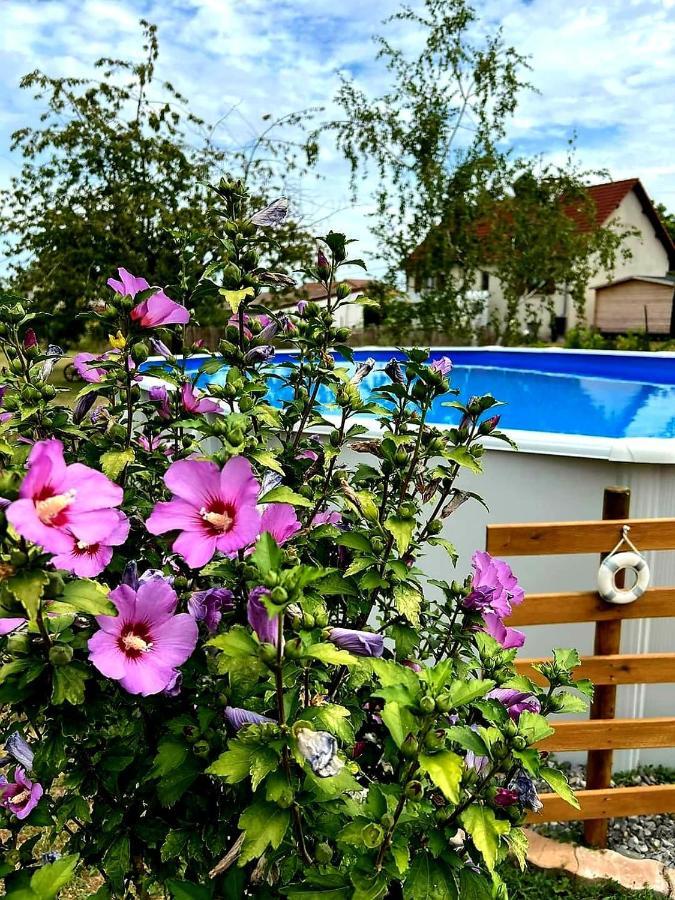 Le Heron Pourpre B&B Gastronomique Cronat Bagian luar foto