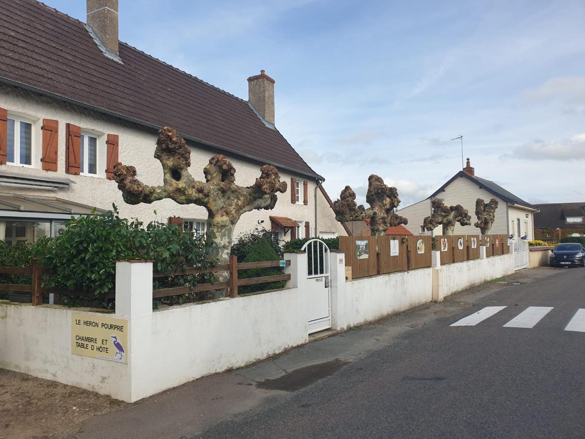 Le Heron Pourpre B&B Gastronomique Cronat Bagian luar foto